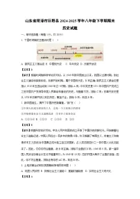 山东省菏泽市巨野县2024-2025学年八年级下学期期末历史试卷（解析版）