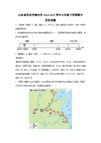 【历史】山东省枣庄市滕州市2024-2025学年七年级下学期期中试题（解析版）