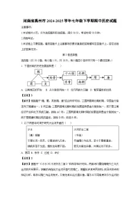 【历史】河南省禹州市2024-2025学年七年级下学期期中试题（解析版）