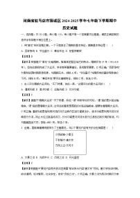 【历史】河南省驻马店市驿城区2024-2025学年七年级下学期期中试题（解析版）