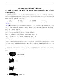 山东省烟台市2025年中考历史真题试卷及同步解析