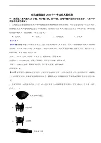 山东省烟台市2025年中考历史真题试卷及同步解析