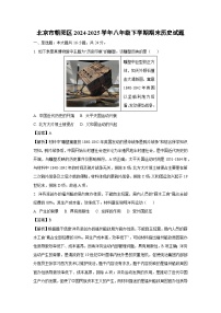北京市朝阳区2024-2025学年八年级下学期期末历史试卷（解析版）