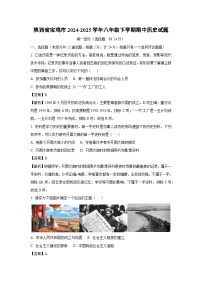 陕西省宝鸡市2024-2025学年八年级下学期期中历史试卷（解析版）