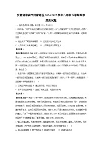 安徽省淮南市田家庵区2024-2025学年八年级下学期期中历史试卷（解析版）
