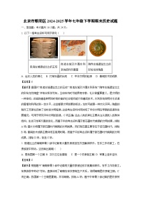 北京市朝阳区2024-2025学年七年级下学期期末历史试卷（解析版）