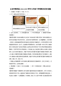 北京市朝阳区2024-2025学年七年级下学期期末历史试卷（解析版）