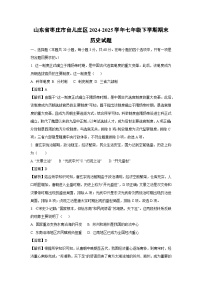 山东省枣庄市台儿庄区2024-2025学年七年级下学期期末历史试题（解析版）