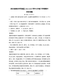 四川省雅安市雨城区2024-2025学年七年级下学期期中历史试题（解析版）