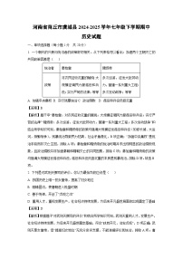 河南省商丘市虞城县2024-2025学年七年级下学期期中历史试卷（解析版）