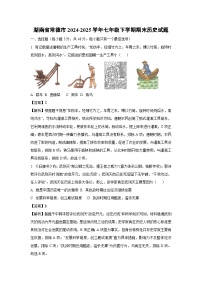 湖南省常德市2024-2025学年七年级下学期期末历史试卷（解析版）