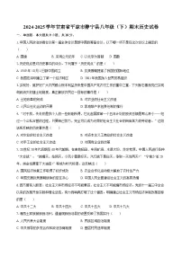 2024-2025学年甘肃省平凉市静宁县八年级（下）期末历史试卷（含答案）