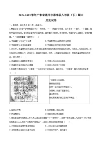2024-2025学年广东省惠州市惠东县八年级（下）期末历史试卷（含答案）
