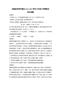 河南省洛阳市嵩县2024-2025学年七年级下学期期末试题历史试卷（解析版）