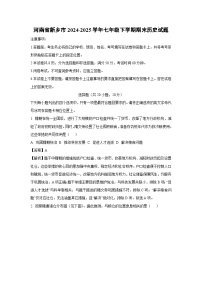 河南省新乡市2024-2025学年七年级下学期期末试题历史试卷（解析版）