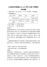 山东省枣庄市薛城区2024-2025学年七年级下学期期末试题历史试卷（解析版）
