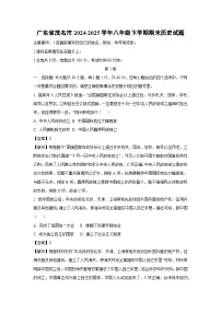 广东省茂名市2024-2025学年八年级下学期期末历史试题（解析版）