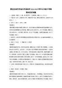 黑龙江省齐齐哈尔市讷河市2024-2025学年七年级下学期期末试题历史试卷（解析版）