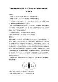 河南省南阳市桐柏县2024-2025学年八年级下学期期末历史试题（解析版）