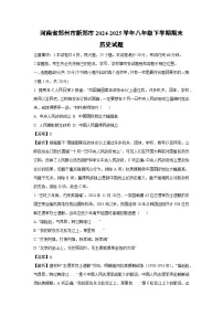河南省郑州市新郑市2024-2025学年八年级下学期期末历史试题（解析版）