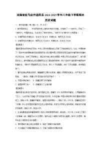 河南省驻马店市泌阳县2024-2025学年八年级下学期期末历史试题（解析版）