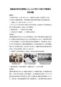 湖南省岳阳市岳阳楼区2024-2025学年八年级下学期期末历史试题（解析版）