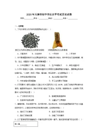 2025年天津市初中学业水平考试历史试卷（附答案解析）