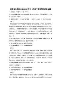河南省洛阳市2024-2025学年七年级下学期期末历史试题（解析版）