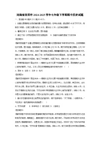 河南省洛阳市2024-2025学年七年级下学期期中历史试题（解析版）