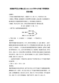 河南省平顶山市鲁山县2024-2025学年七年级下学期期末历史试题（解析版）