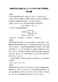 河南省平顶山市鲁山县2024-2025学年七年级下学期期末历史试题（解析版）