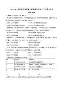 2024-2025学年陕西省渭南市澄城县八年级（下）期末历史试卷（含答案）