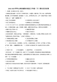 2024-2025学年山东省威海市经区八年级（下）期末历史试卷（含答案）