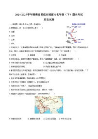 2024-2025学年湖南省娄底市涟源市七年级（下）期末历史试卷（含答案）