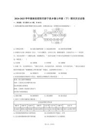 2024-2025学年湖南省邵阳市新宁县乡镇七年级（下）期末历史试卷（含答案）