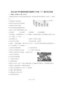 2024-2025学年湖南省娄底市涟源市八年级（下）期末历史试卷（含答案）