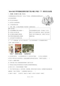 2024-2025学年湖南省邵阳市新宁县乡镇八年级（下）期末历史试卷（含答案）