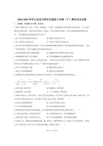 2024-2025学年山东省日照市五莲县八年级（下）期末历史试卷（含答案）