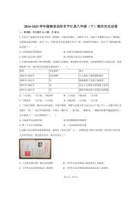 2024-2025学年湖南省岳阳市平江县八年级（下）期末历史试卷（含答案）