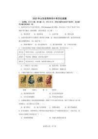 2025年山东省菏泽市中考历史真题（含解析）