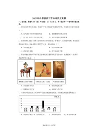 2025年山东省济宁市中考历史真题（含答案）