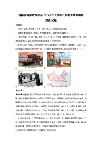 河南省南阳市桐柏县2024-2025学年八年级下学期期中历史试卷（解析版）