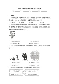 2025年湖北省武汉市中考历史试题（附答案解析）