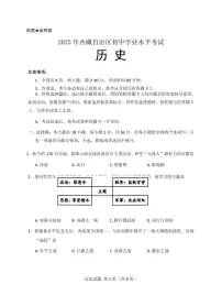 2025年西藏自治区中考历史真题（无答案）
