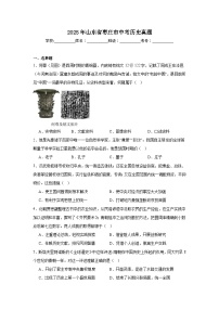 2025年山东省枣庄市中考历史真题（附答案解析）