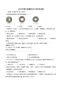 2025年四川省南充市中考历史试卷（含详细答案解析）