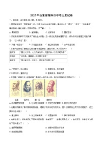 2025年山东省菏泽市中考历史试卷（含详细答案解析）