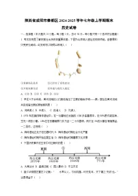 陕西省咸阳市秦都区2024-2025学年七年级上学期期末历史试卷（学生版）