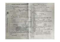 辽宁省沈阳市第四十六中学2025-2026学年九年级上学期10月月考历史试卷