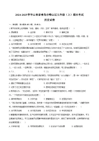 2024-2025学年山东省青岛市崂山区九年级（上）期末历史试卷（含答案）